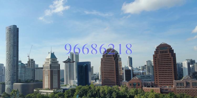 OUE Twin Peaks (D9), Condominium #135947102